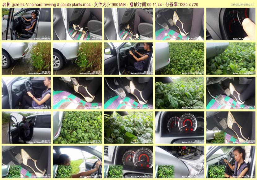gcre-94_Vina hard revving & polute plants